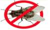 Cách diệt ruồi an toàn và hiệu quả không phải ai cũng biết