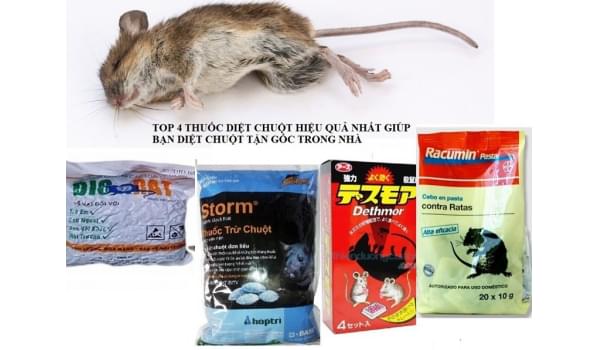 Có nên sử dụng thuốc diệt chuột